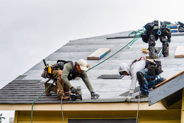 Professional Roof Inspection technician working in Dedham, IA